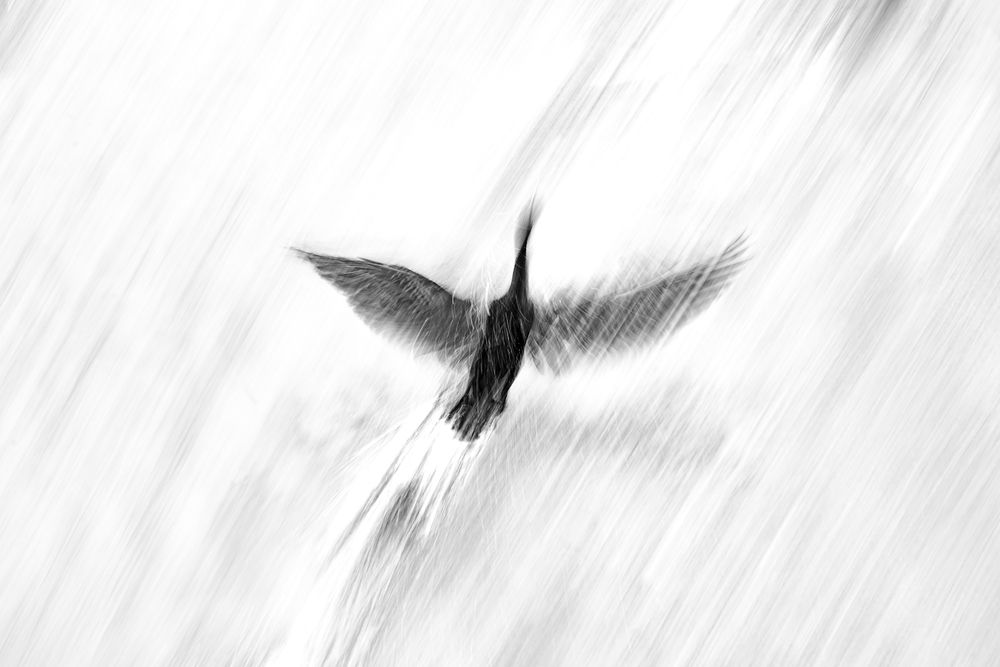 Photograph by Visveswar VK
