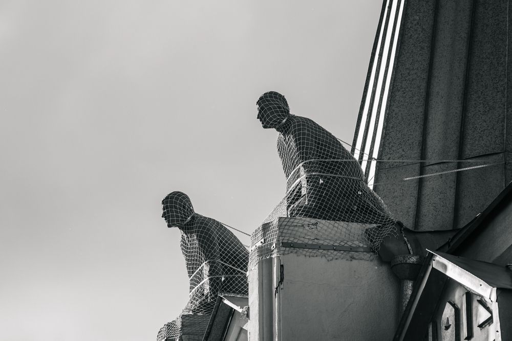 Photograph by Дмитрий Рязанцев