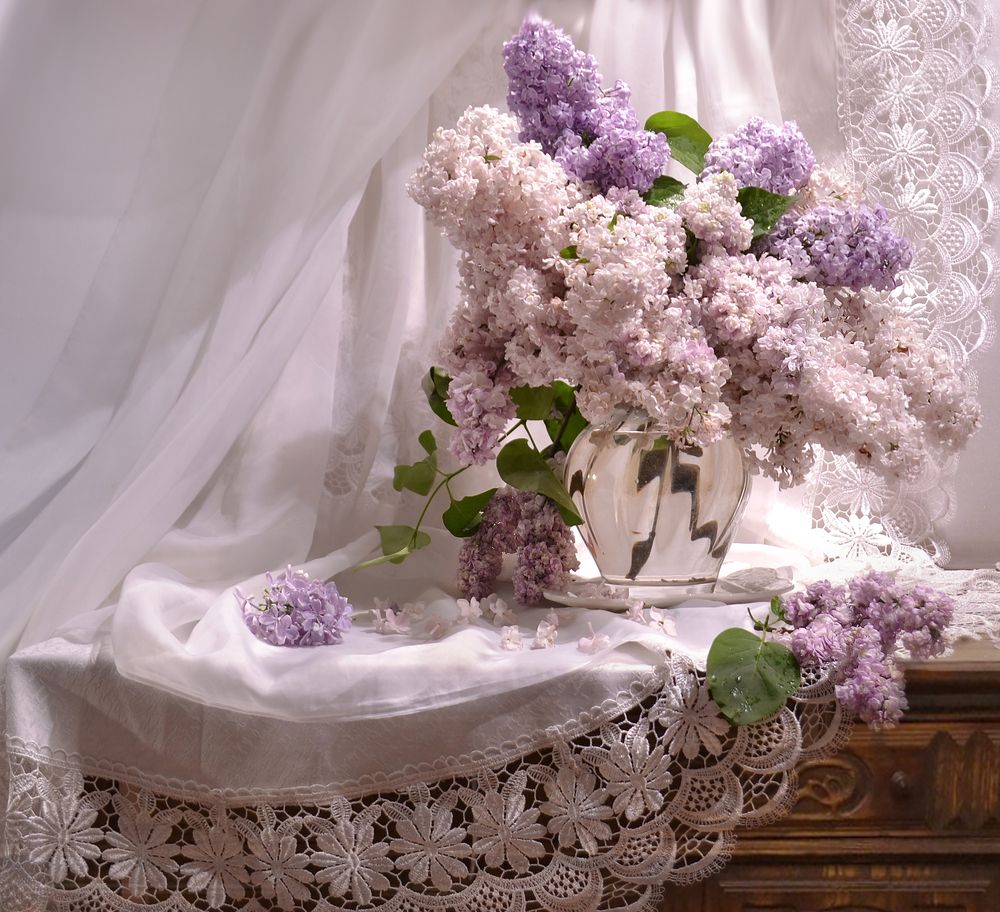 ..в прохладной нежности сирени...