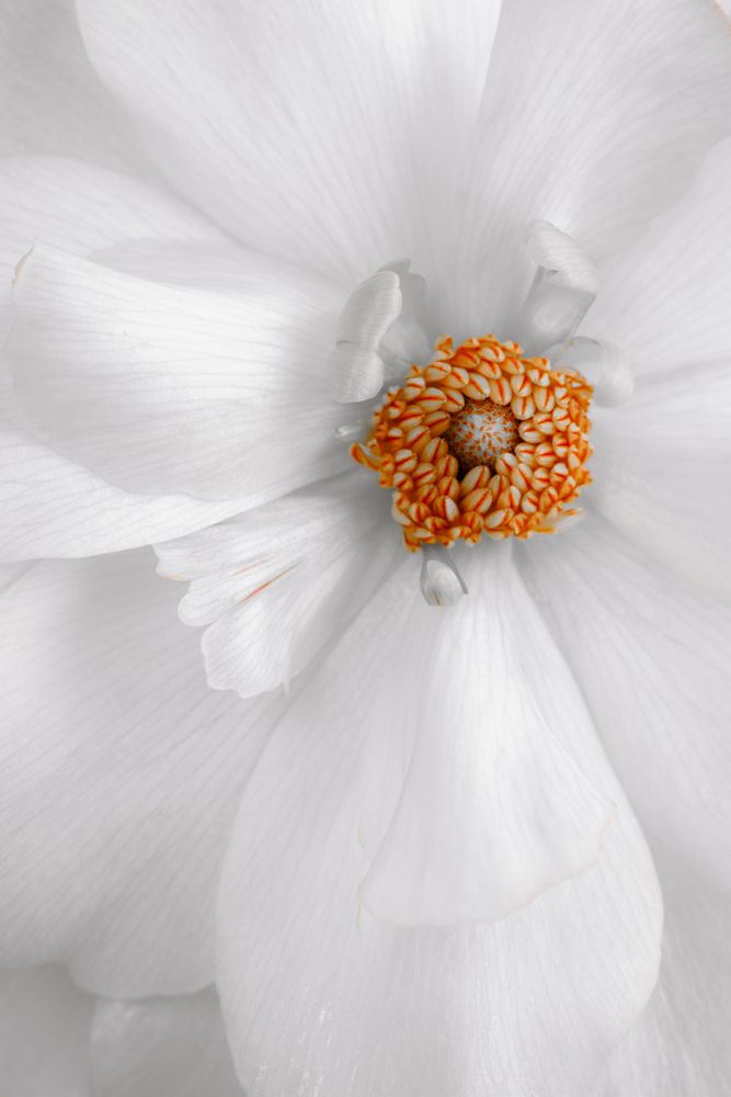 Photograph by KOTBE AYUMU