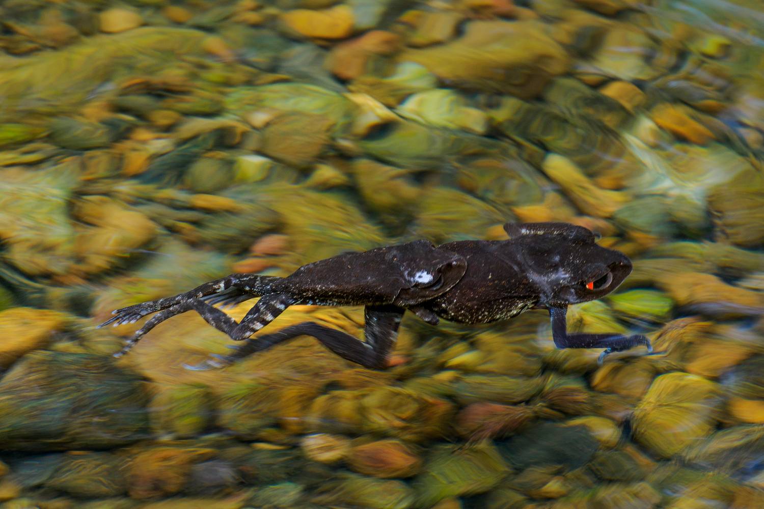 Life in Motion Life in Motion