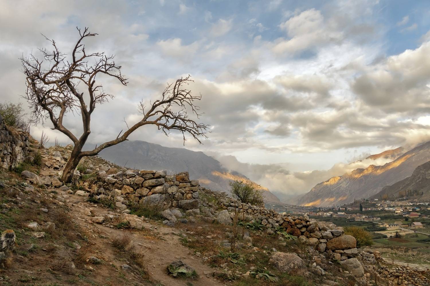 Фотография #13373968