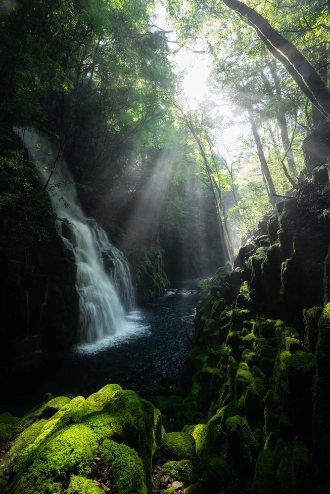 Photograph by Sekioka Hiroaki