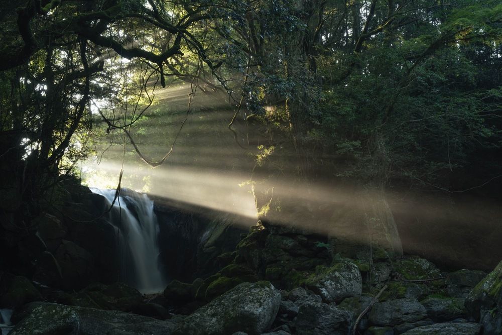 Фотография автора Sekioka Hiroaki