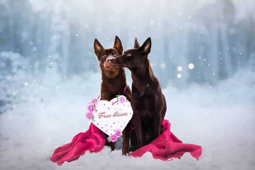 Фотография автора Tereza Krestová