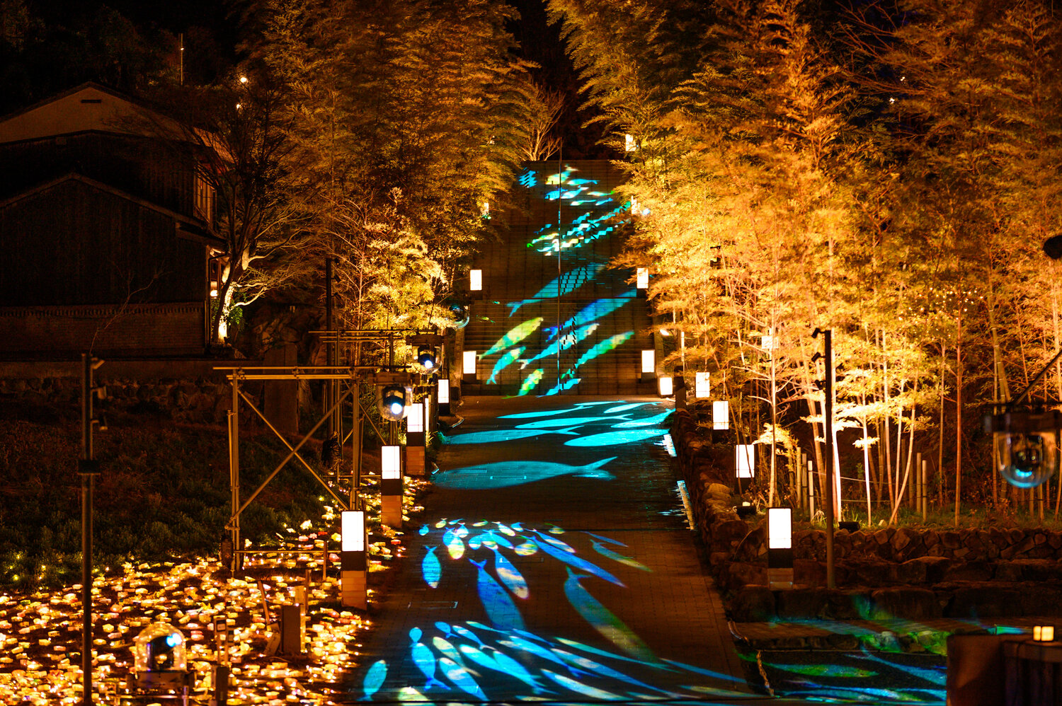 Photo #13374249