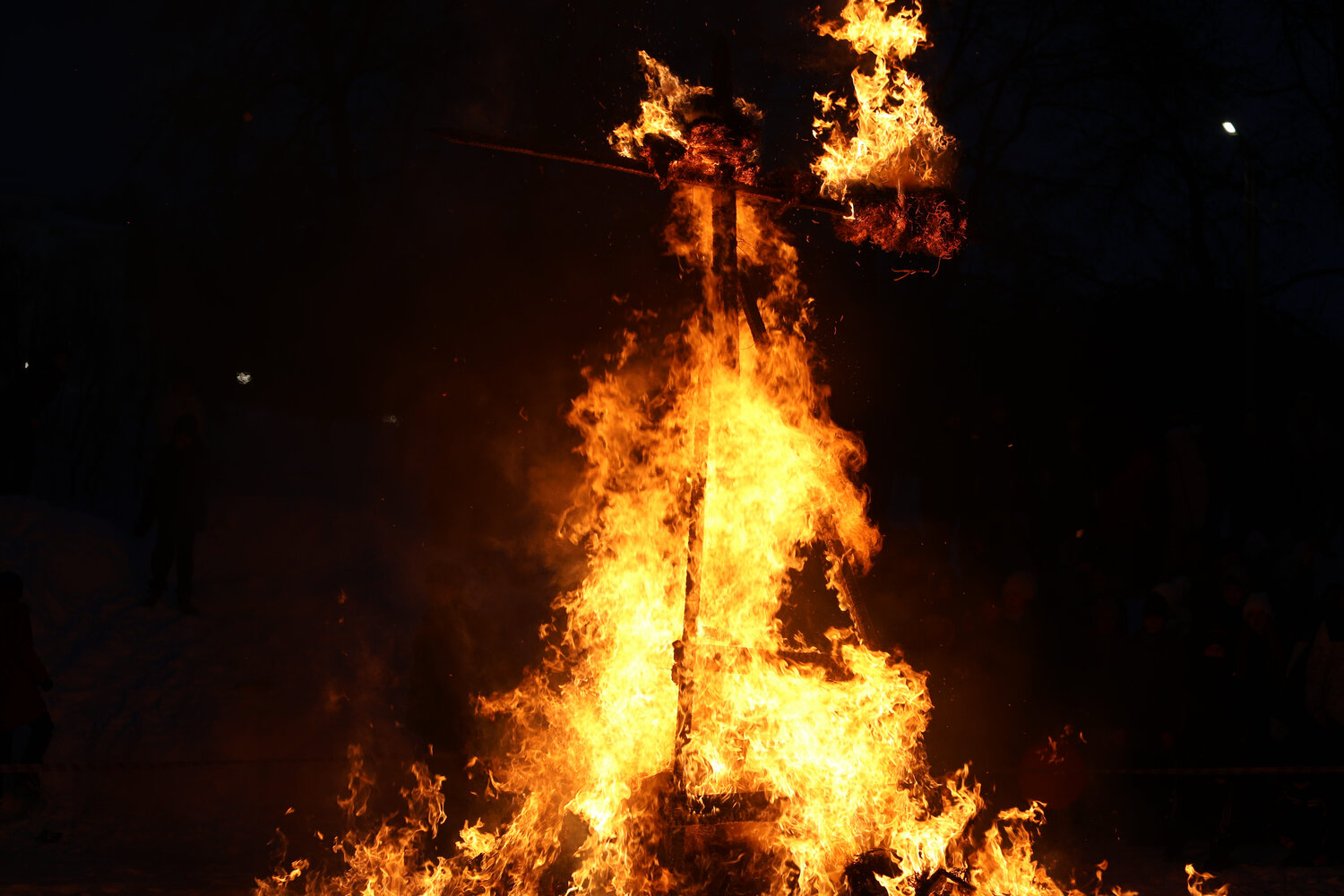 Photo #13374286