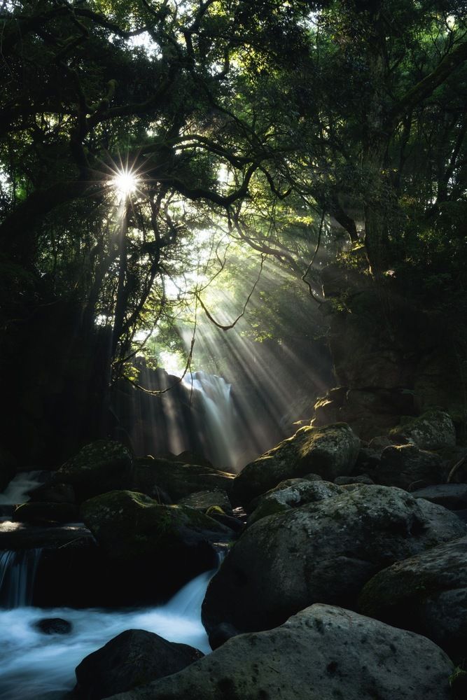 Photograph by Sekioka Hiroaki
