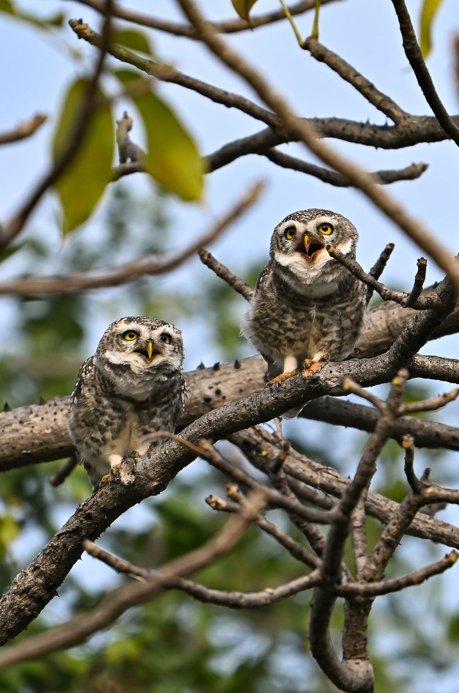 Photograph by Vikrant Khedekar