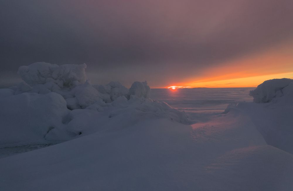 Photograph by Николай Потапов