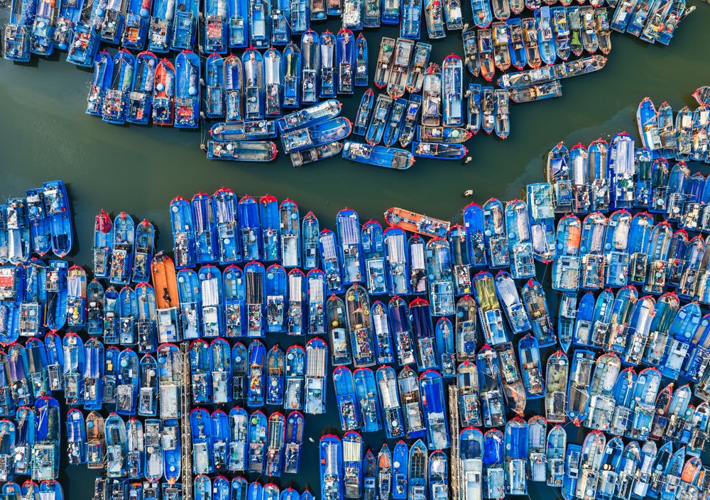 Photograph by Tuấn Nguyễn Tấn
