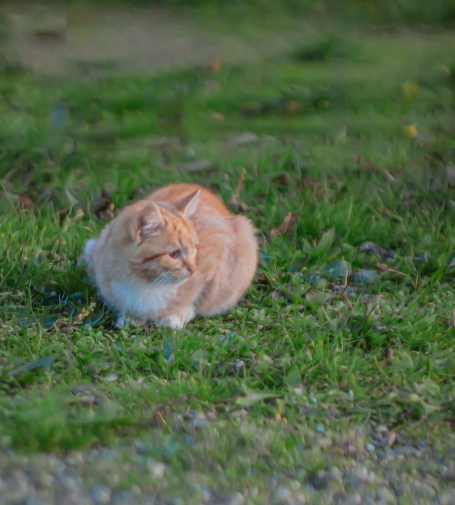 Photograph by Георгий Машкин