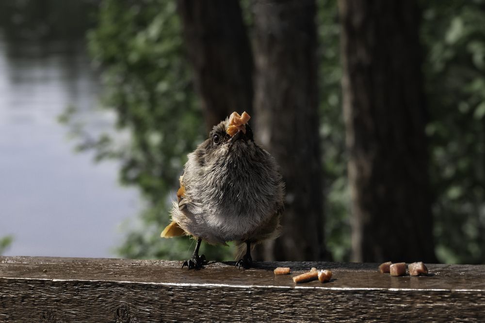 Photograph by Ирина Ульянова