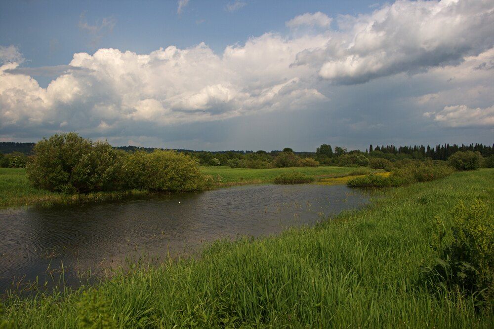 Photograph by Ирина Вассерлауф