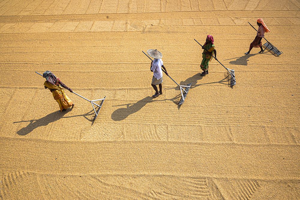 Фотография автора Santanu Datta