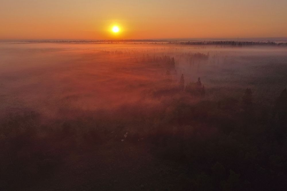 Photograph by Николай Потапов
