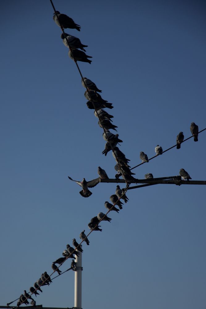 Photograph by Nourane Bouadjila