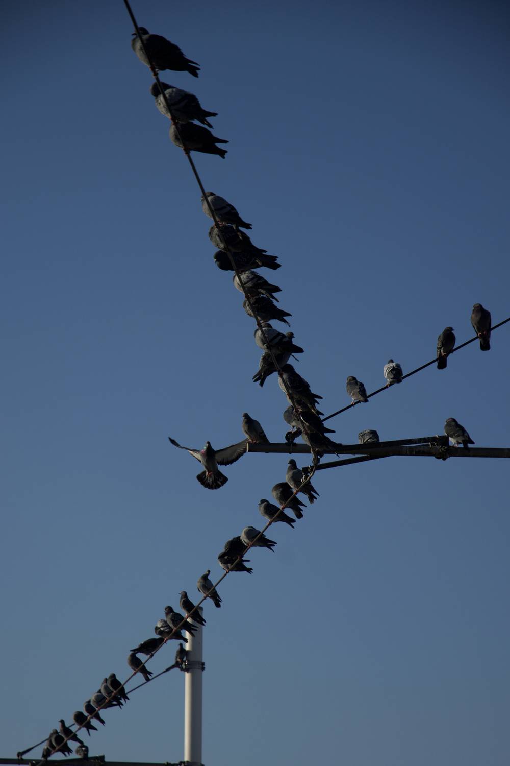 Photo #13374686