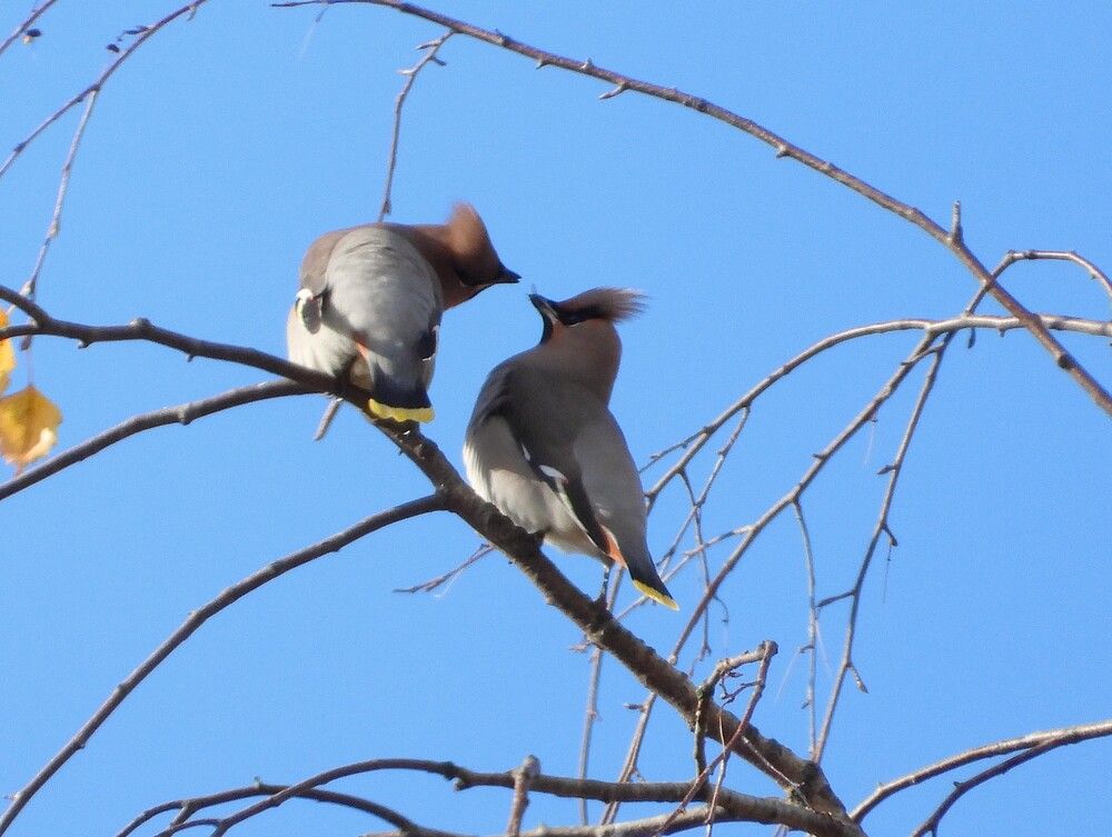 Photograph by Ольга Митрофанова