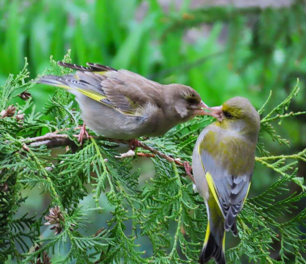 Photograph by Ольга Митрофанова