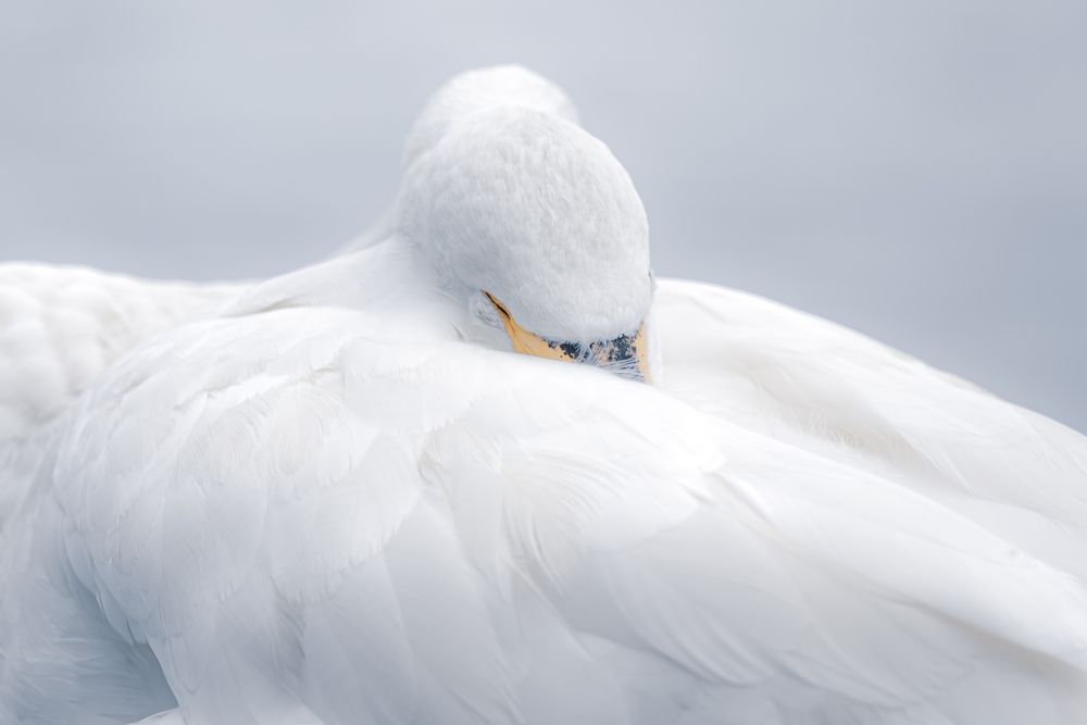 Photograph by KOTBE AYUMU