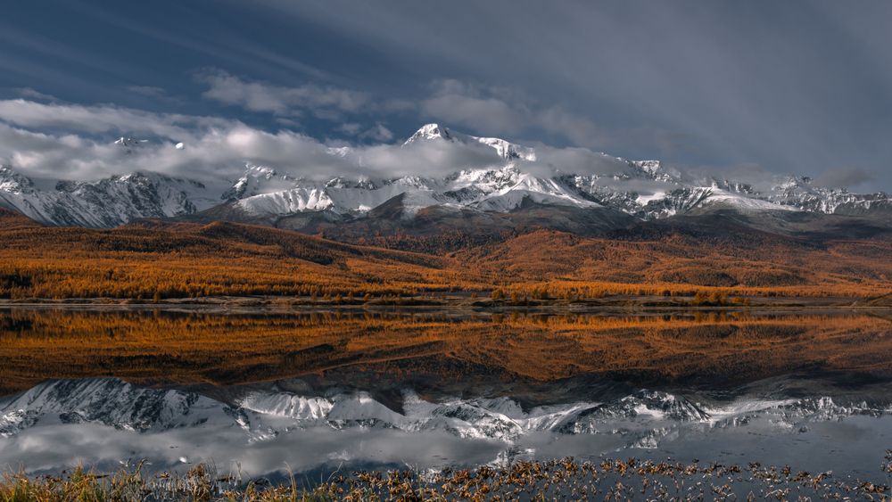 Photograph by Mark Devender