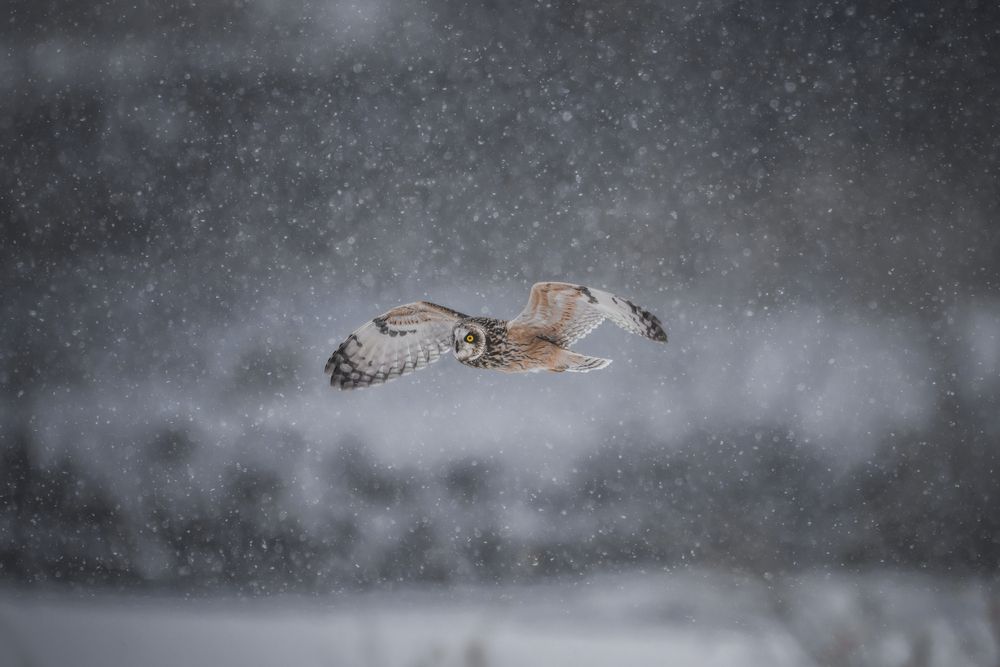 Photograph by Hiroki Matsubara