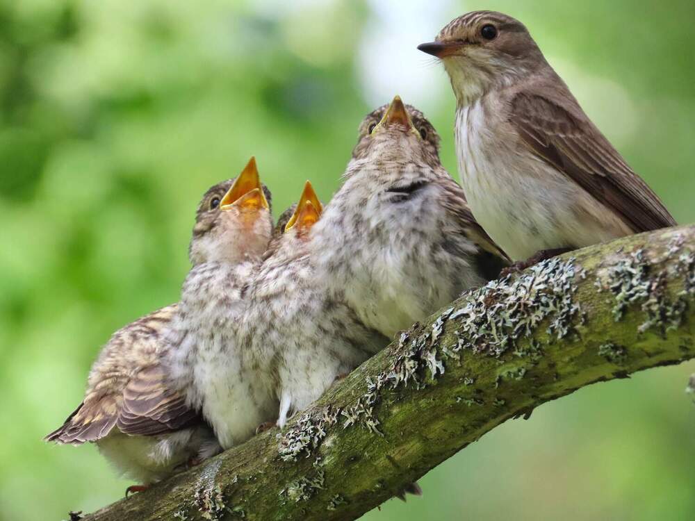 Photograph by Ольга Митрофанова