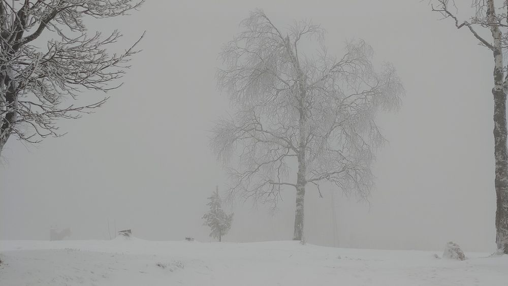 Photograph by Вахромова Елена