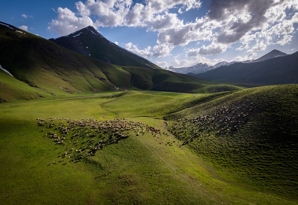 Farashin Plateau
