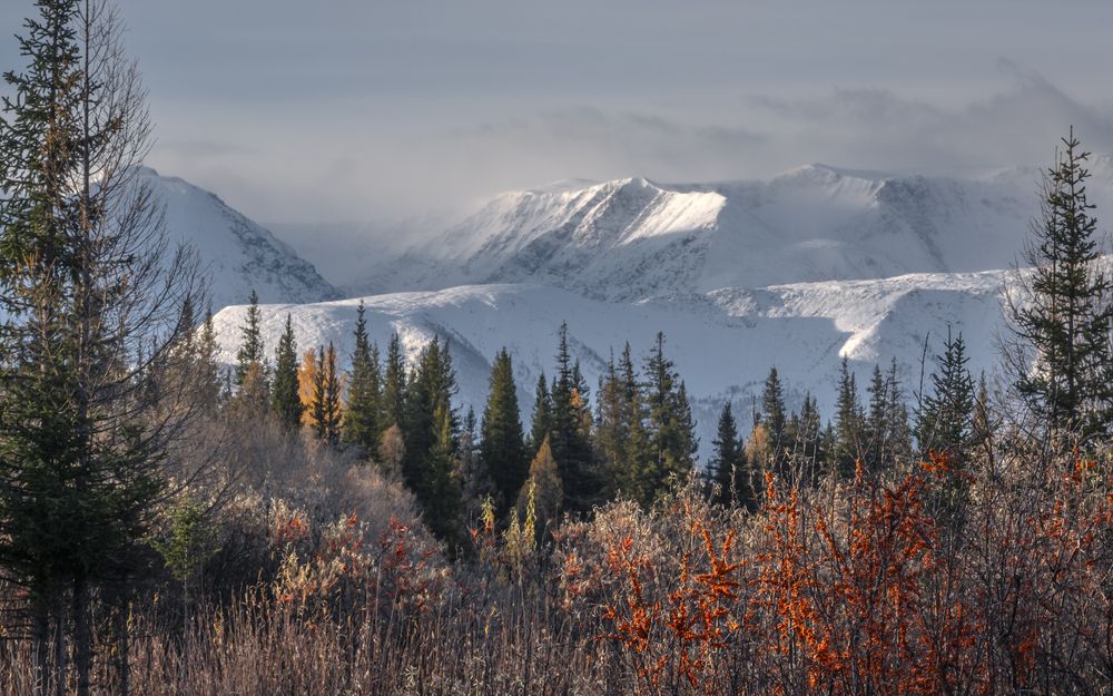 Photograph by Mark Devender