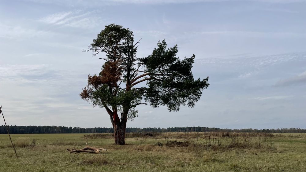 Photograph by Ольга Ильина