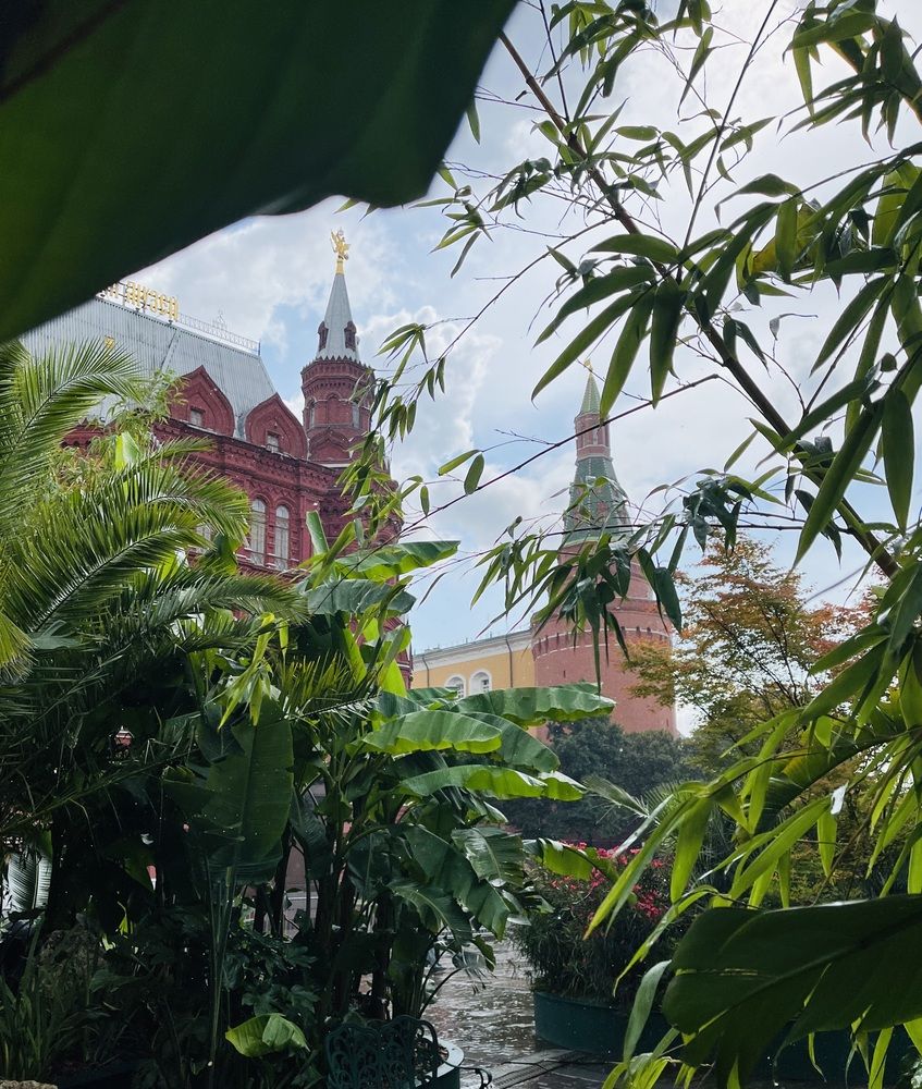 Photograph by Елена Вешнякова