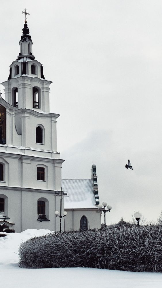 Photo #13375269