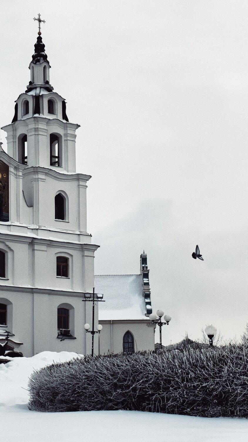 Photo #13375269