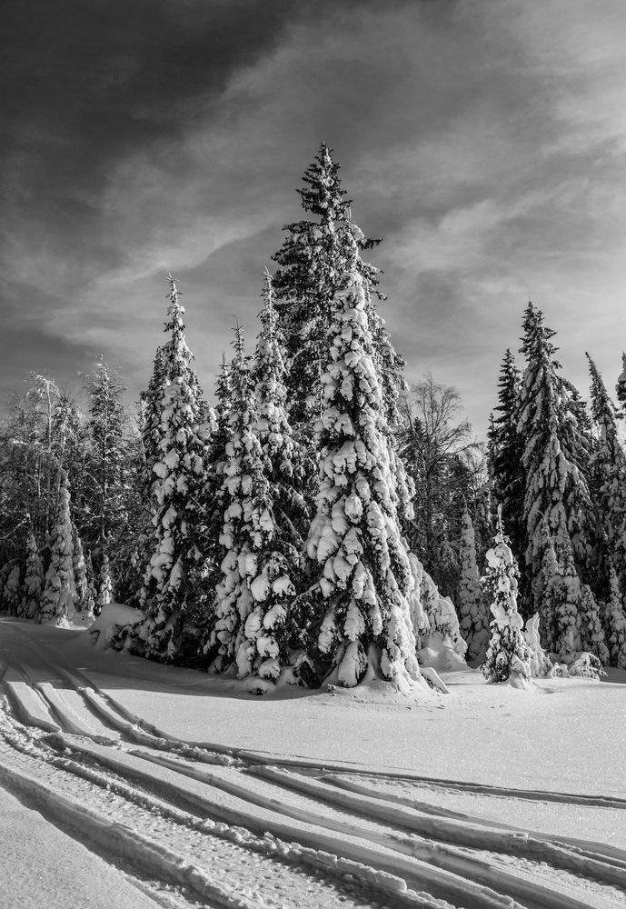 Photograph by Света Назарова