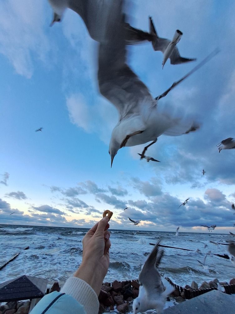 Photograph by Ирина Савельева