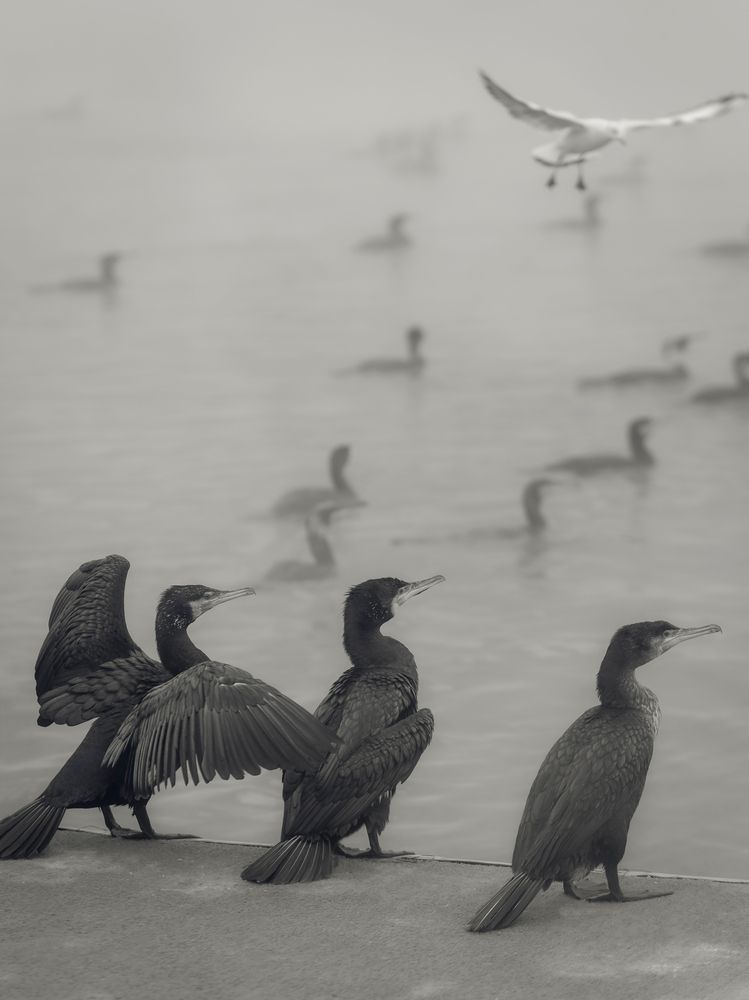 Photograph by Константин Яковлев