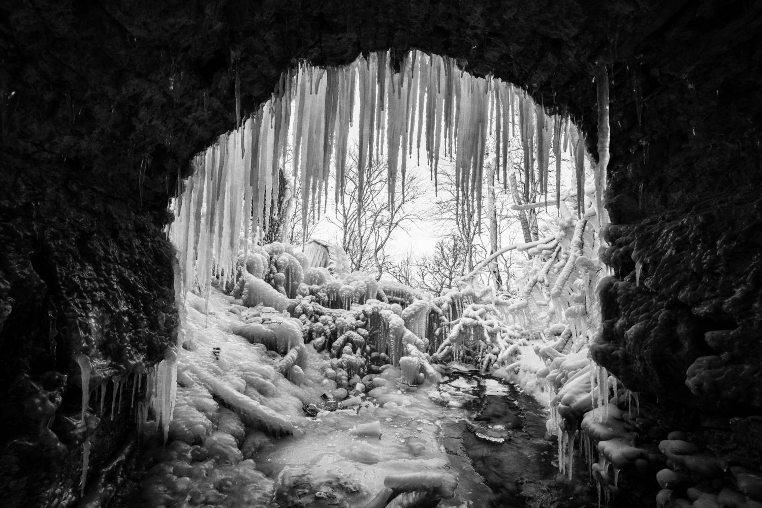 Фотография #13375343