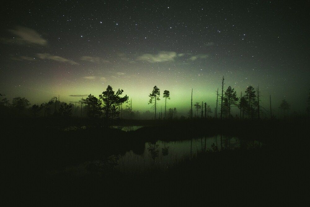 Photograph by Ольга Леонова