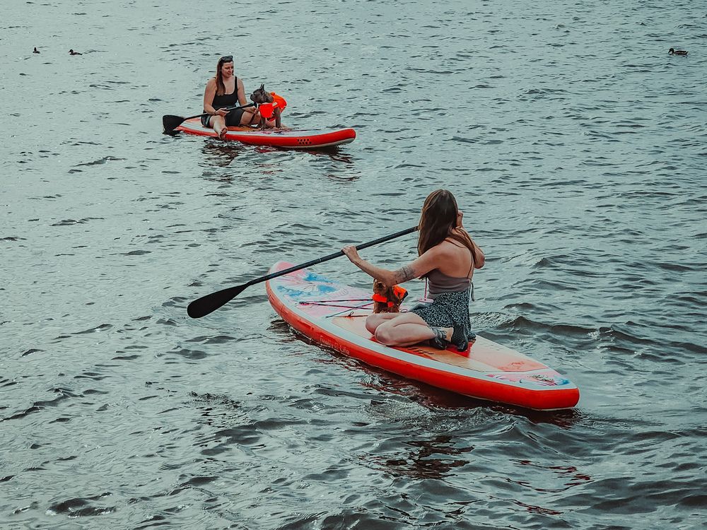 Photograph by Елена Савенкова