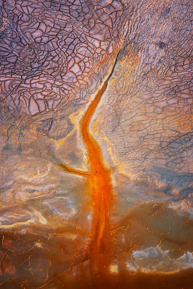 Photograph by Daniel Viñé Garcia