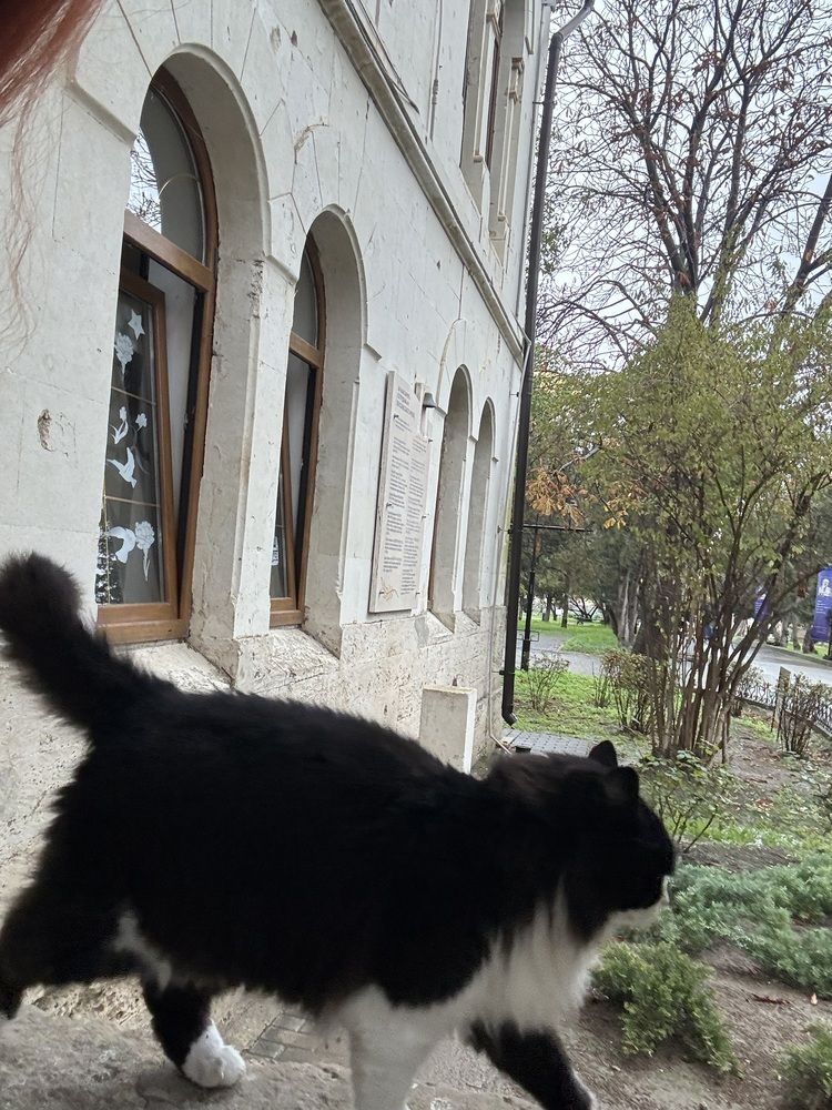 Photograph by Лиза Шабурова