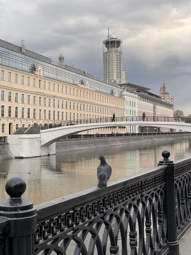 Фотография автора Ольга Ильина