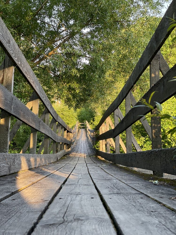 Фотография автора Ольга Ильина