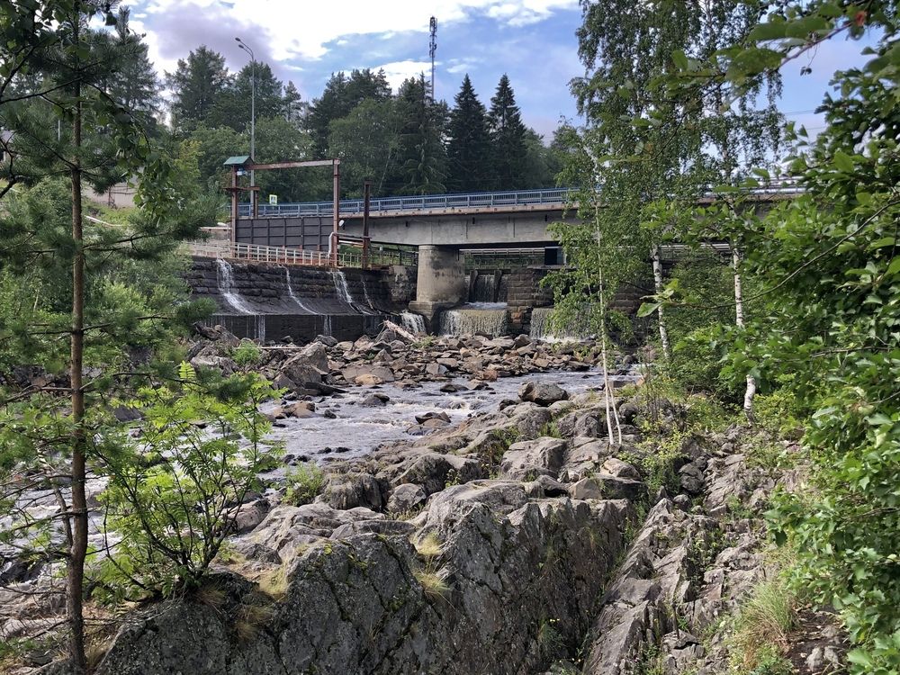 Фотография автора Ольга Ильина