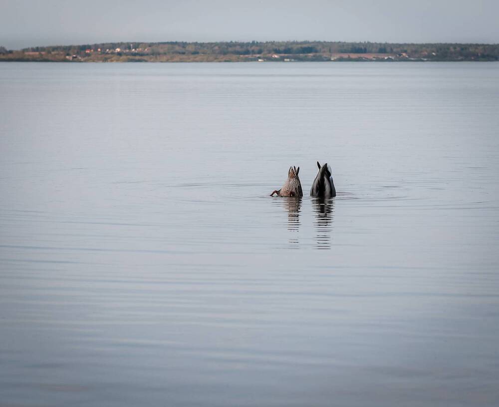 Photograph by Алена Чёрная