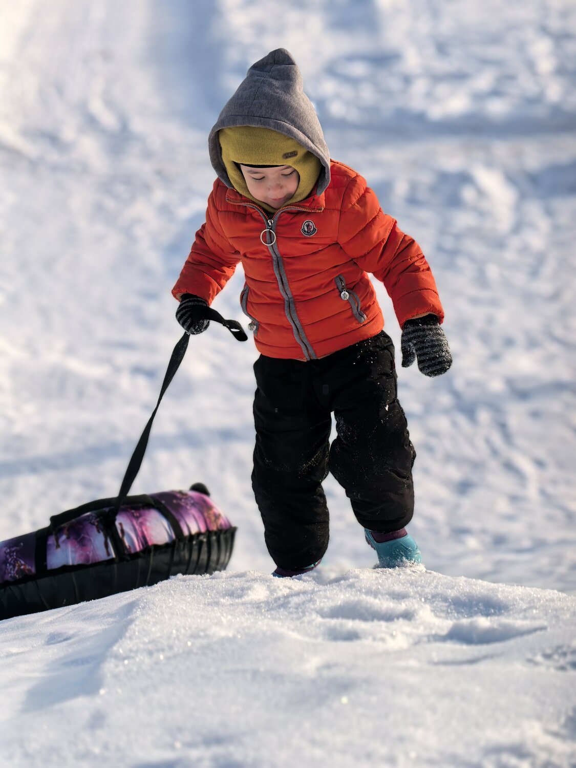 Photo #13375418