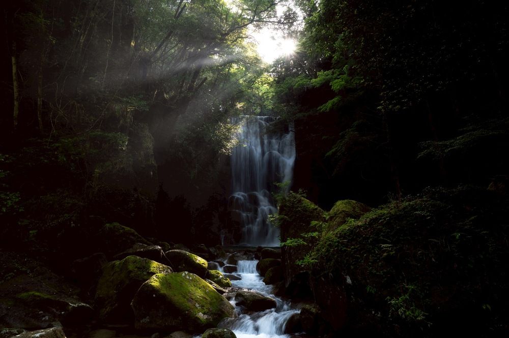 Photograph by Sekioka Hiroaki