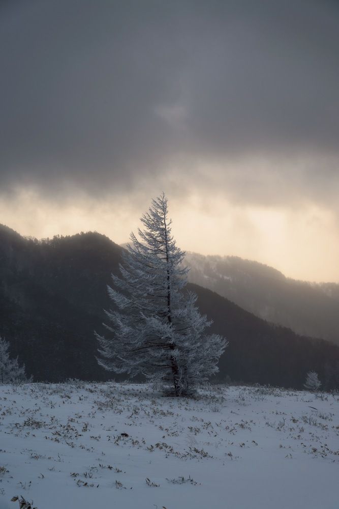 Photograph by Sekioka Hiroaki